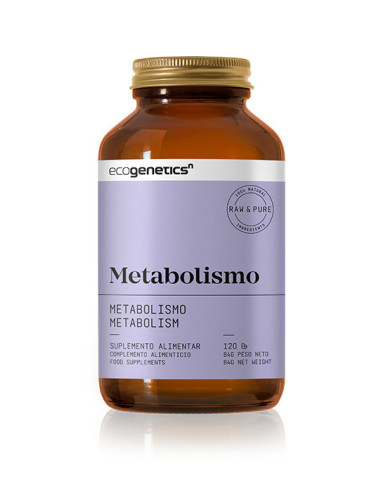 Metabolismo